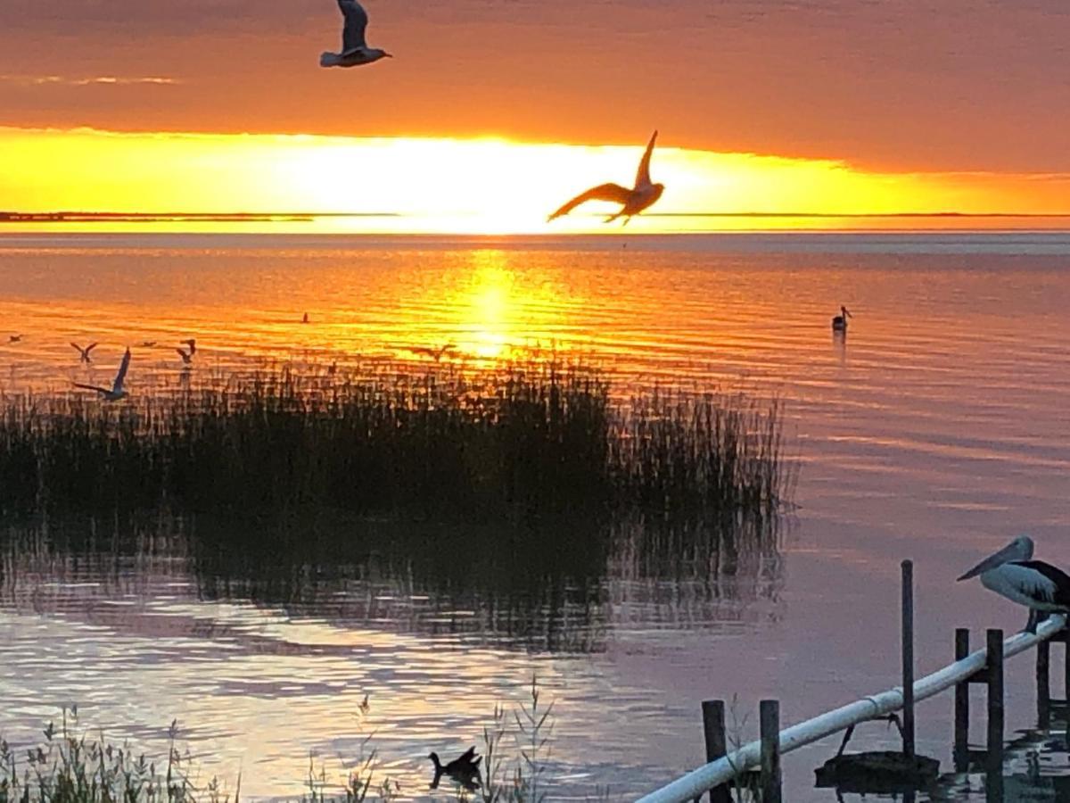 Lake Albert Motel Meningie Kültér fotó